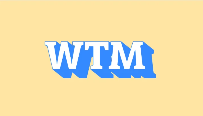 wtm mean on instagram