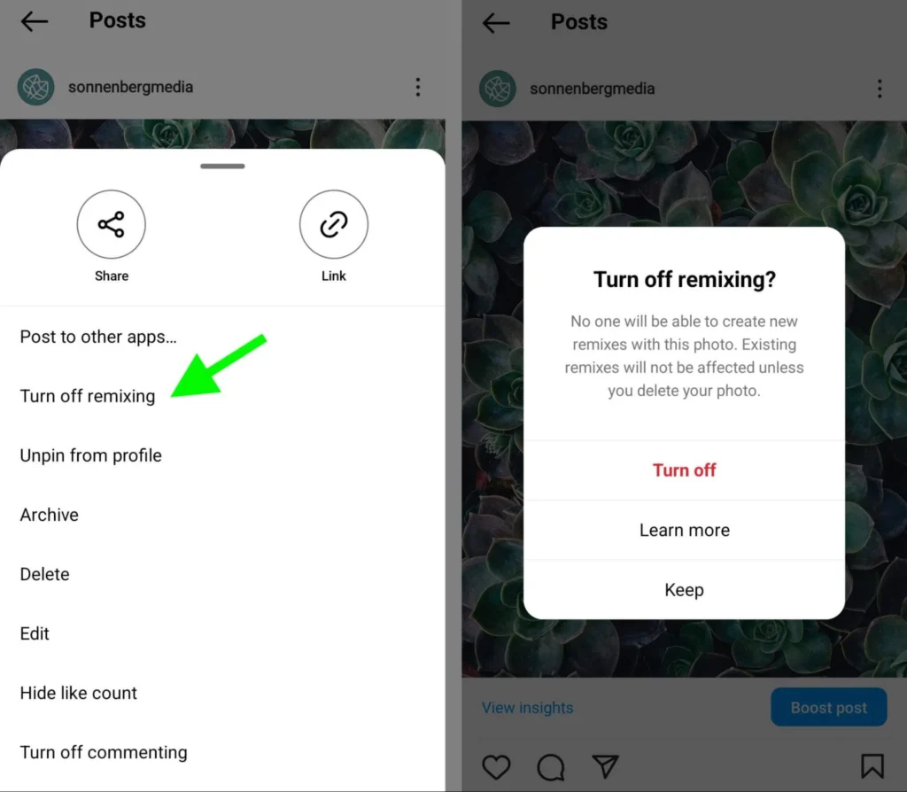 Instagram Remix Feature